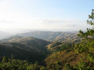 IMG_0241.jpg