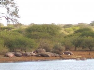 IMG_1067.jpg