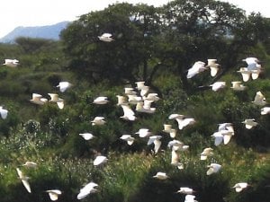 IMG_0996.jpg
