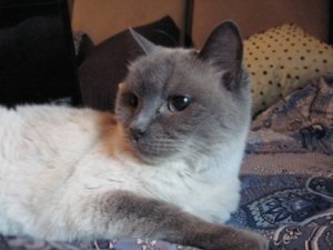 Fuzzy2008.JPG