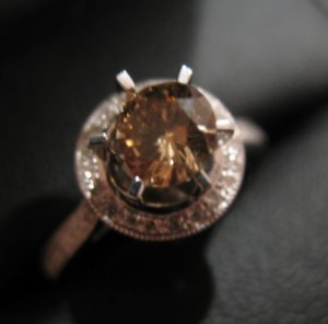 brown_in_ring.jpg