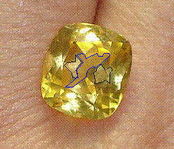 leila-sapphire.gif
