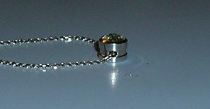 P1010210-cropped.jpg