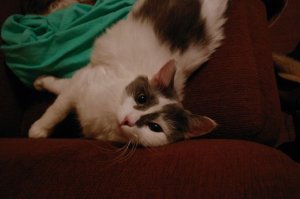 IMG_2331jkjkj.jpg