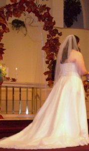 backofthedress2.jpg