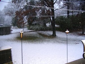 snow113008.jpg