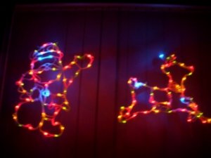 outsidelights20081-1.jpg