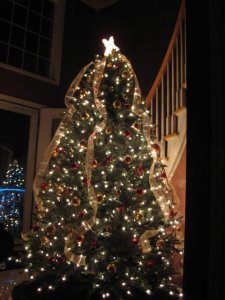IMG_6003.JPG