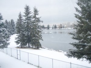 view from my bedroomm window.jpg