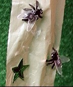 Flyx-2.jpg