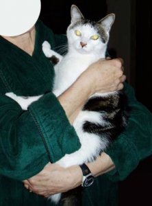 pippin45y6.jpg pippin45y6.jpg