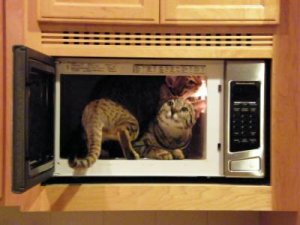 oven.jpg