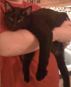 Shadow lounging.jpg