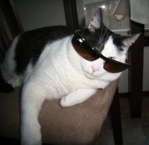 CoolPippin2009.jpg