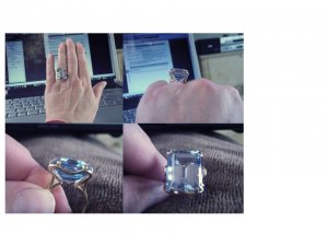honker ring montage.jpg honker ring montage.jpg
