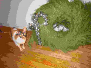 xmas 023 v3.jpg