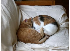 AnGsnugglepic2.jpg