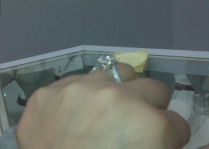 IMG00328.jpg
