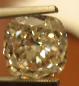 ring007tweezerscornishrex.jpg