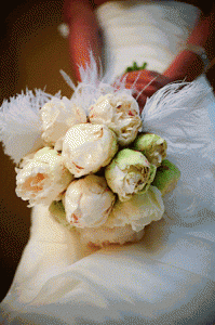 1a.gif