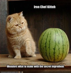 ironchefkitteh.jpg