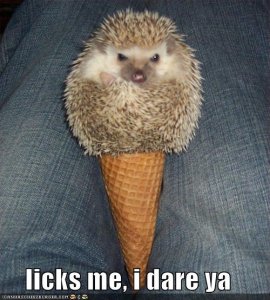 hedgecone.jpg