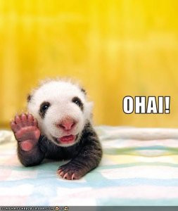 ohai.jpg