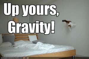 upyoursgravity.jpg