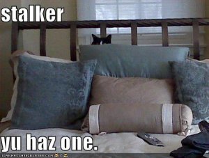 stalker.jpg