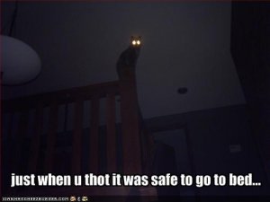 notsafe.jpg