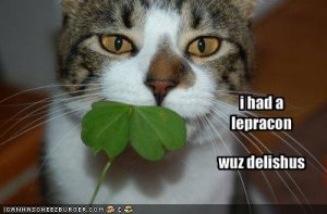 funny-pictures-your-cat-ate-a-leprechaun1.jpg