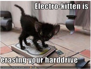electrokittystealingharddrive.JPG