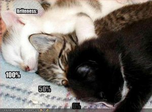 brightnessadjustment.jpg