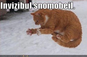 invizibulsnomobeil.jpg