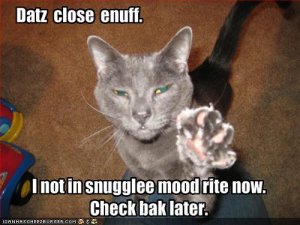 snugglemood.jpg