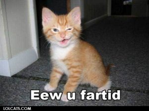lolcatsdotcomfdb7lvxfbzpbni68.jpg