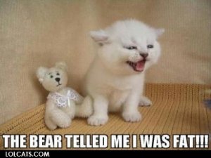 lolcatsdotcomec8k79pdj3rfndxs.jpg