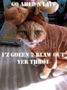 lolcatsdotcomyy55jit177hoquxh.jpg