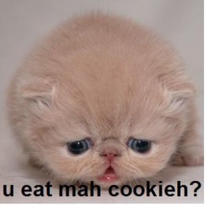 lolcatsdotcomv4zdxit9asz2o214.jpg