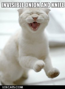 lolcatsdotcomvob763rikbpwmv8o.jpg
