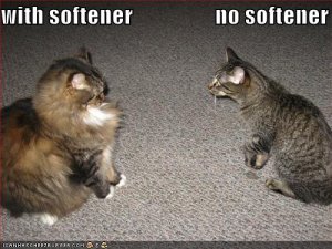 fabricsoftenerlol44.jpg