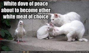 dovesordinner.jpg