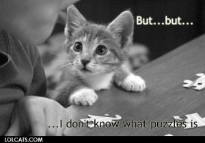 lolcatsdotcomib5v9oe8urvsgmh0.jpg