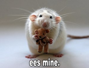 ratteddy.jpg
