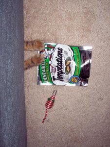 reachfortreats.jpg