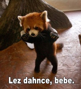 redpandadance.jpg