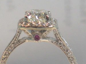 MyRingSideView3.jpg