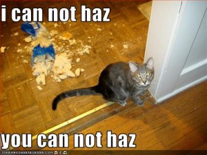 funny-pictures-cat-has-destroyed-your-food.jpg