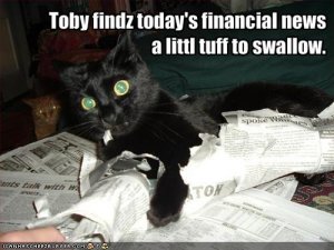 nonotthedow.jpg