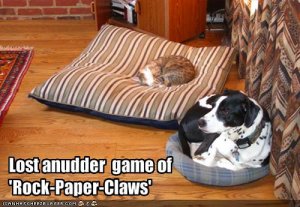 rockpaperclaws.jpg